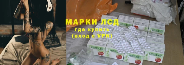 индика Алексин