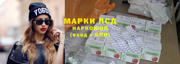индика Алексин