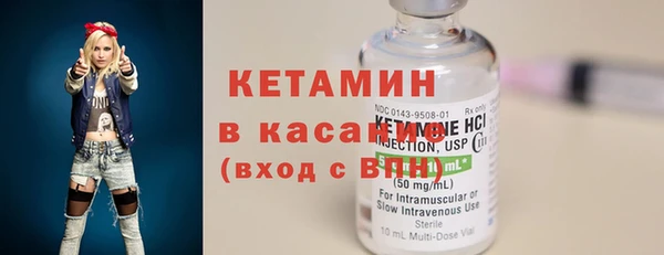 индика Алексин