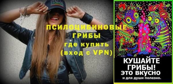 a pvp Алзамай
