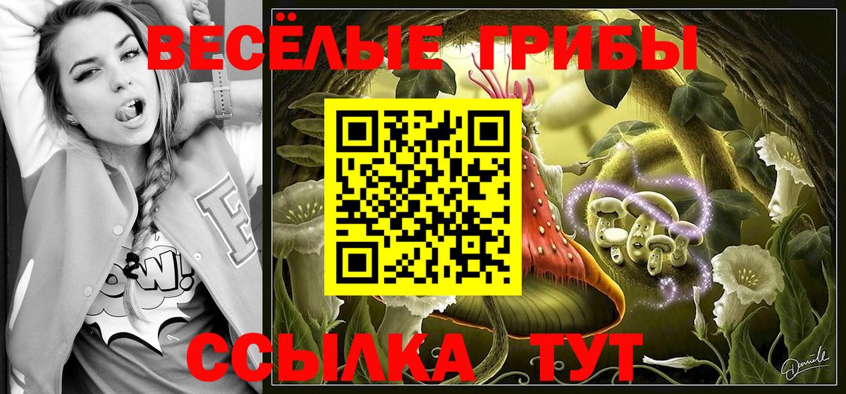 Псилоцибиновые грибы GOLDEN TEACHER Новороссийск